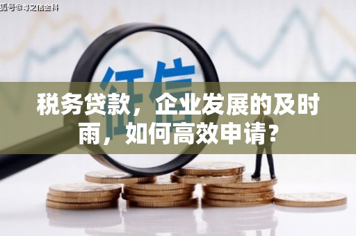 凤山税务贷款，企业发展的及时雨，如何高效申请？