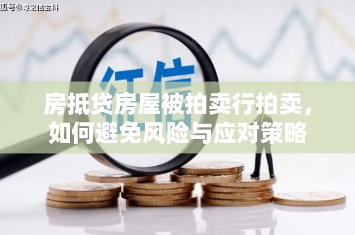 义竹房抵贷房屋被拍卖行拍卖，如何避免风险与应对策略