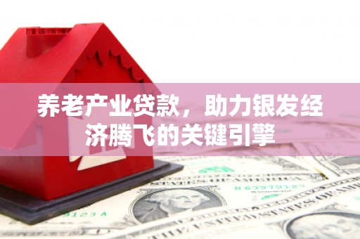 新晃养老产业贷款，助力银发经济腾飞的关键引擎