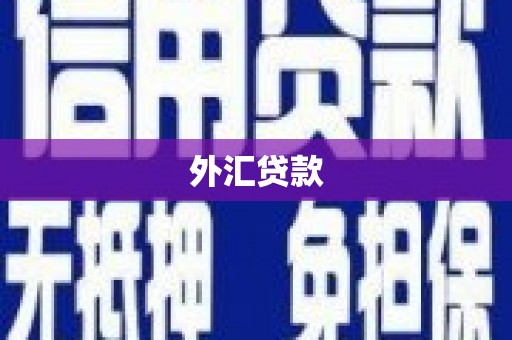 临朐外汇贷款