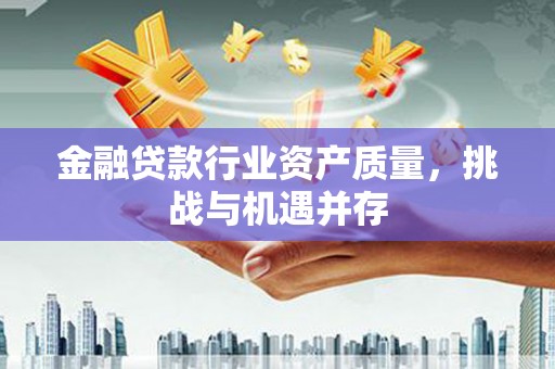 盐津金融贷款行业资产质量，挑战与机遇并存