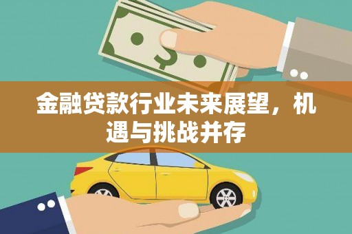 温宿金融贷款行业未来展望，机遇与挑战并存