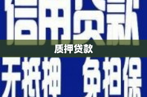 裕民质押贷款