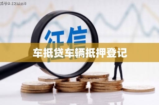 康保车抵贷车辆抵押登记
