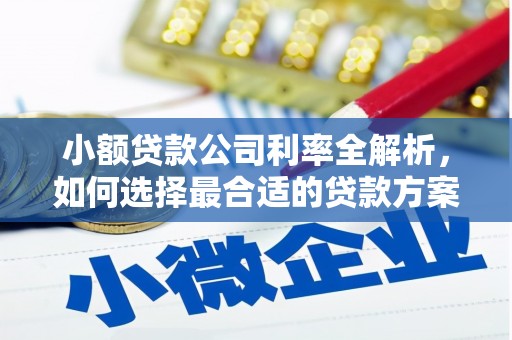 安乡小额贷款公司利率全解析，如何选择最合适的贷款方案