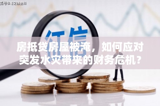 江永房抵贷房屋被淹，如何应对突发水灾带来的财务危机？