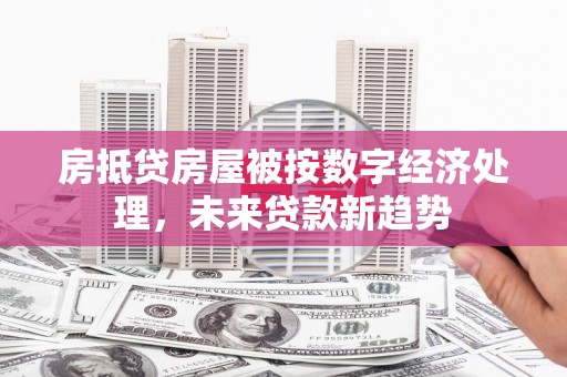乐业房抵贷房屋被按数字经济处理，未来贷款新趋势
