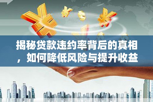 呼兰揭秘贷款违约率背后的真相，如何降低风险与提升收益