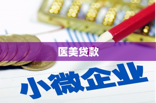 新乐医美贷款