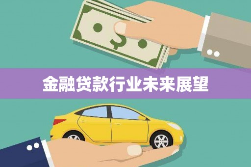 梁河金融贷款行业未来展望