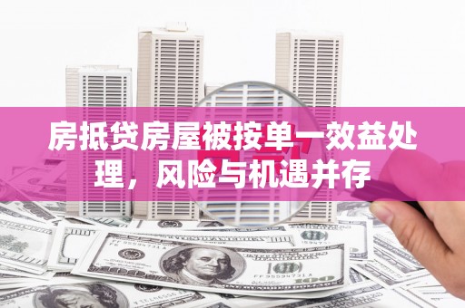 南头房抵贷房屋被按单一效益处理，风险与机遇并存
