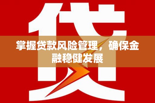 富里掌握贷款风险管理，确保金融稳健发展