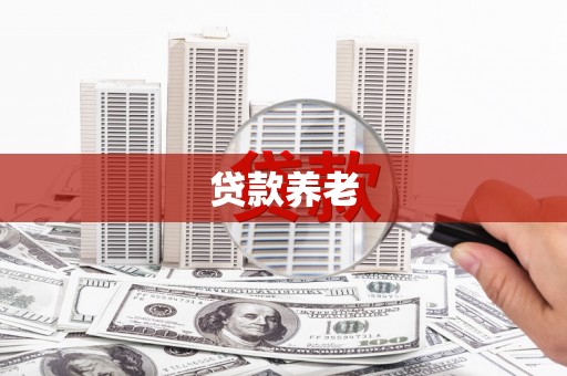 林芝贷款养老