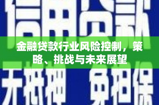 宜秀金融贷款行业风险控制，策略、挑战与未来展望
