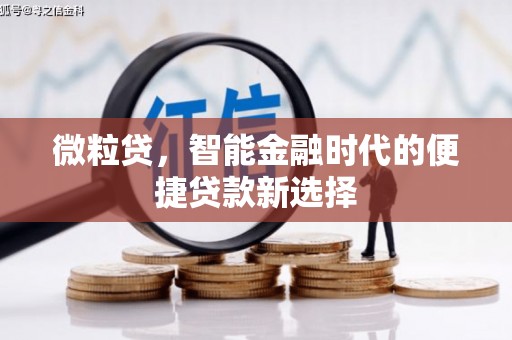 化州微粒贷，智能金融时代的便捷贷款新选择