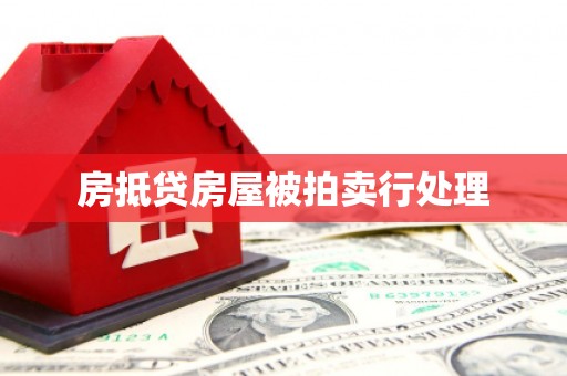 大林房抵贷房屋被拍卖行处理