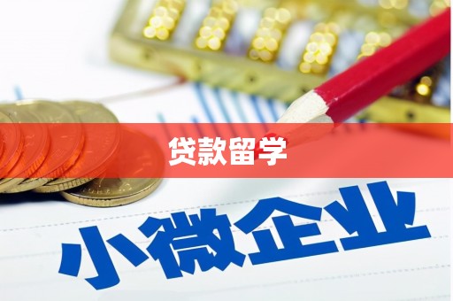 宜秀贷款留学