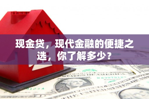 龙泉驿现金贷，现代金融的便捷之选，你了解多少？