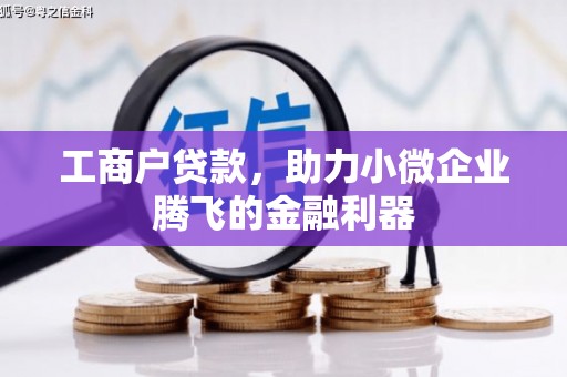 杨梅工商户贷款，助力小微企业腾飞的金融利器
