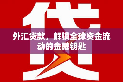 茅箭外汇贷款，解锁全球资金流动的金融钥匙