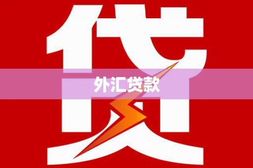 泌阳外汇贷款