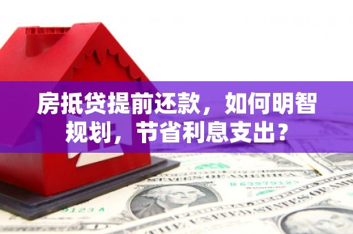 武宣房抵贷提前还款，如何明智规划，节省利息支出？
