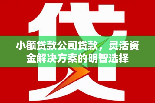 武侯小额贷款公司贷款，灵活资金解决方案的明智选择
