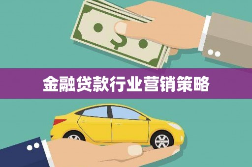 平山金融贷款行业营销策略