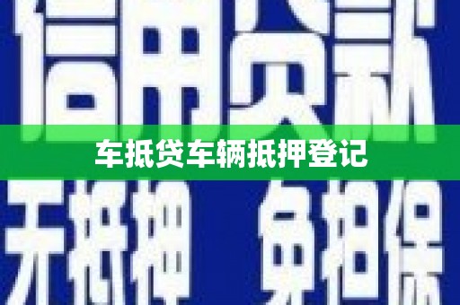 天心车抵贷车辆抵押登记