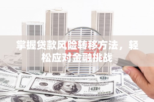辉南掌握贷款风险转移方法，轻松应对金融挑战