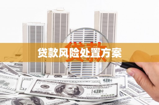应县贷款风险处置方案