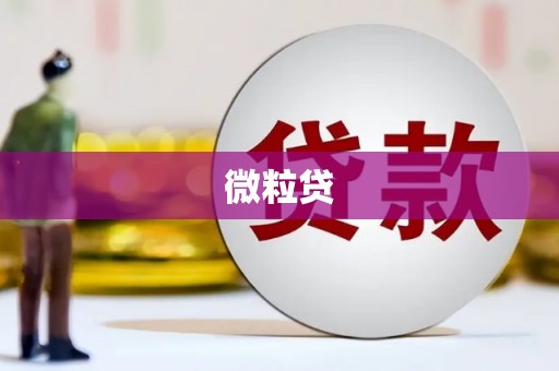 狮子山微粒贷