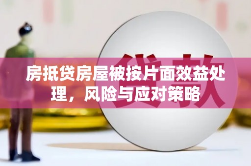 单县房抵贷房屋被按片面效益处理，风险与应对策略
