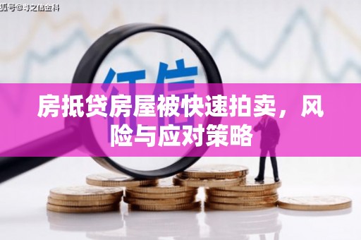 应城房抵贷房屋被快速拍卖，风险与应对策略