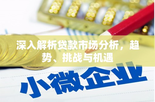应城深入解析贷款市场分析，趋势、挑战与机遇