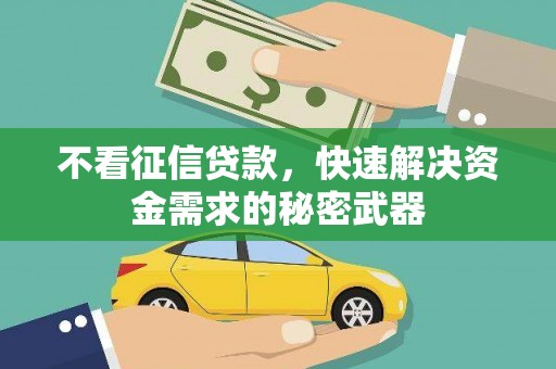 漾濞不看征信贷款，快速解决资金需求的秘密武器