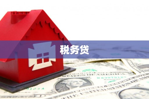 隆子税务贷