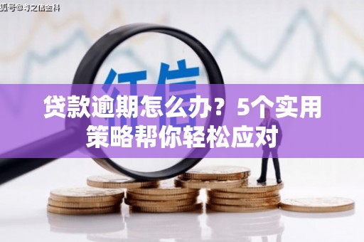 怀化贷款逾期怎么办？5个实用策略帮你轻松应对