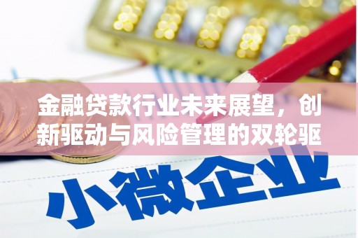 西乡金融贷款行业未来展望，创新驱动与风险管理的双轮驱动