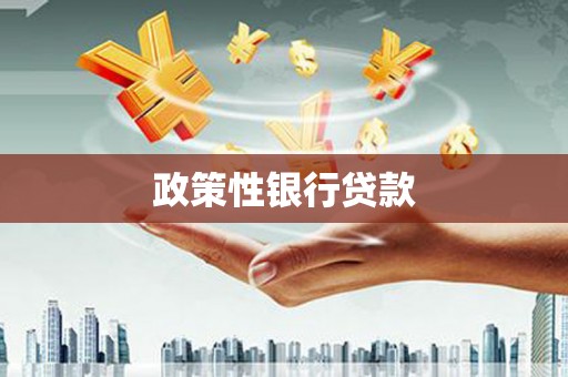 集集政策性银行贷款