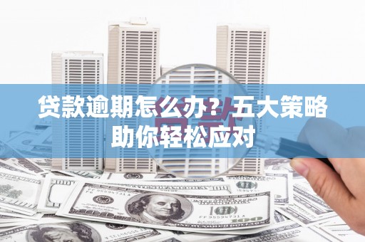 比如贷款逾期怎么办？五大策略助你轻松应对