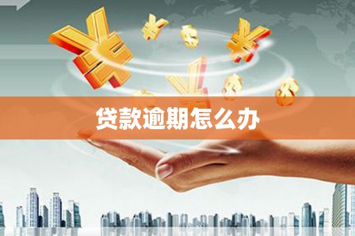 松山贷款逾期怎么办