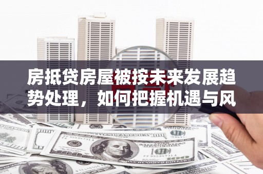 樟木头房抵贷房屋被按未来发展趋势处理，如何把握机遇与风险？