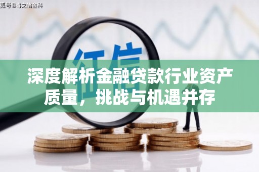 赵县深度解析金融贷款行业资产质量，挑战与机遇并存