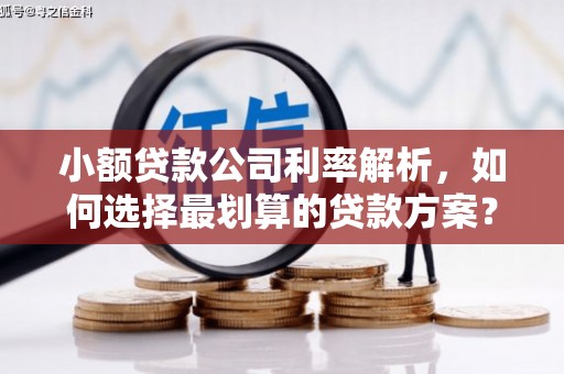 招远小额贷款公司利率解析，如何选择最划算的贷款方案？