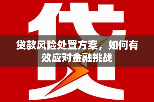 南市贷款风险处置方案，如何有效应对金融挑战