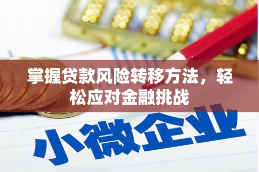 瑞穗掌握贷款风险转移方法，轻松应对金融挑战