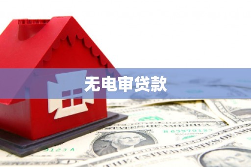 花垣无电审贷款