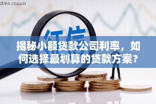 泊头揭秘小额贷款公司利率，如何选择最划算的贷款方案？