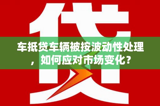 临武车抵贷车辆被按波动性处理，如何应对市场变化？